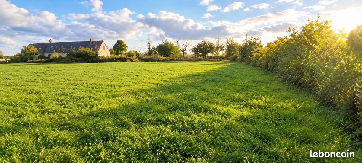 Terrain 1060 m² · à Jussy-le-Chaudrier · 10 000 €