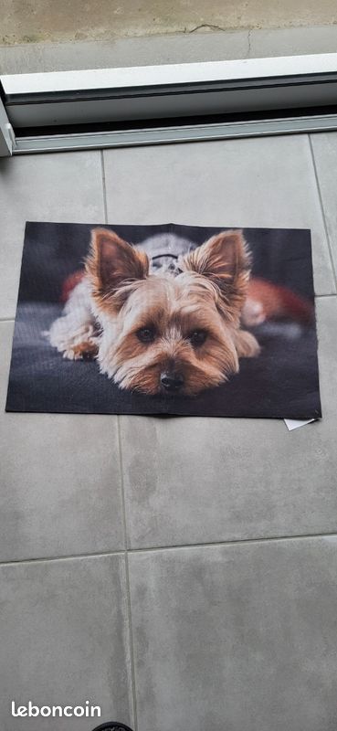 Tissu déco toile canvas Chiens Dogs, blanc cassé | Tissus Hemmers