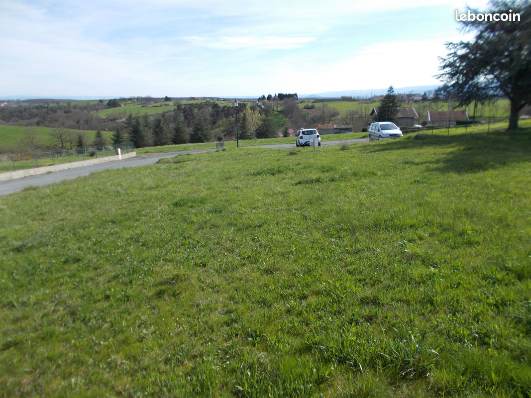 Terrain constructible entièrement viabilisé de 1200 m2 · à Vézelin-sur-Loire · 45 600 €