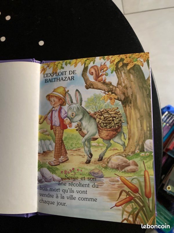 Lot de 2 livres enfants (image 3)