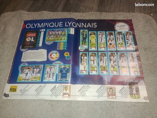 Album ... Football Pann CHAMPONNAT DE FRANCE 2010 * Album complet * - muluBrok | Album, Lvre