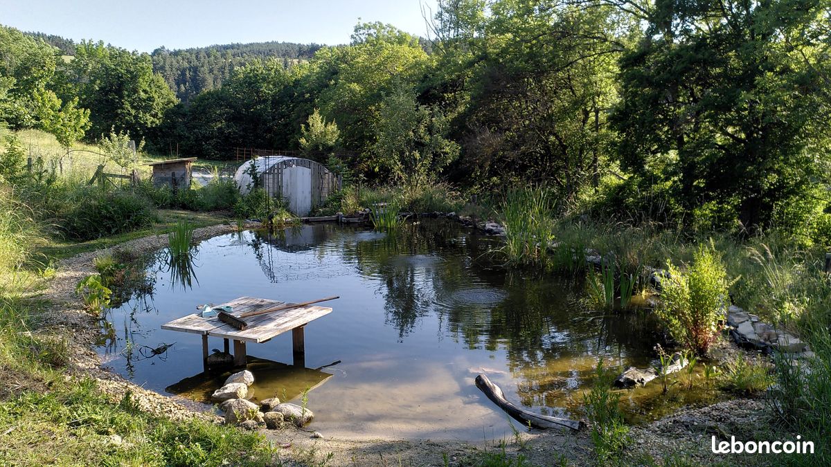 Maison en pierre, jardin et bassin naturel (image 2)