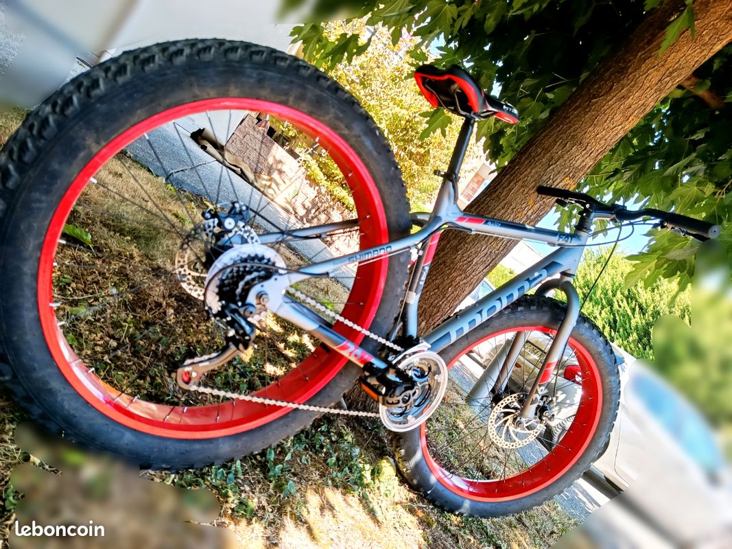 Magnifique FATBIKE ETAT NEUF (image 5)