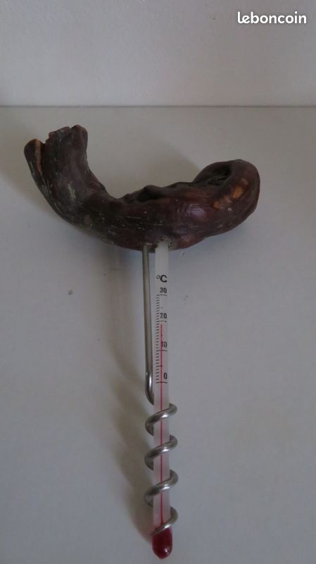 Thermomètre pour la température des vins (image 4)