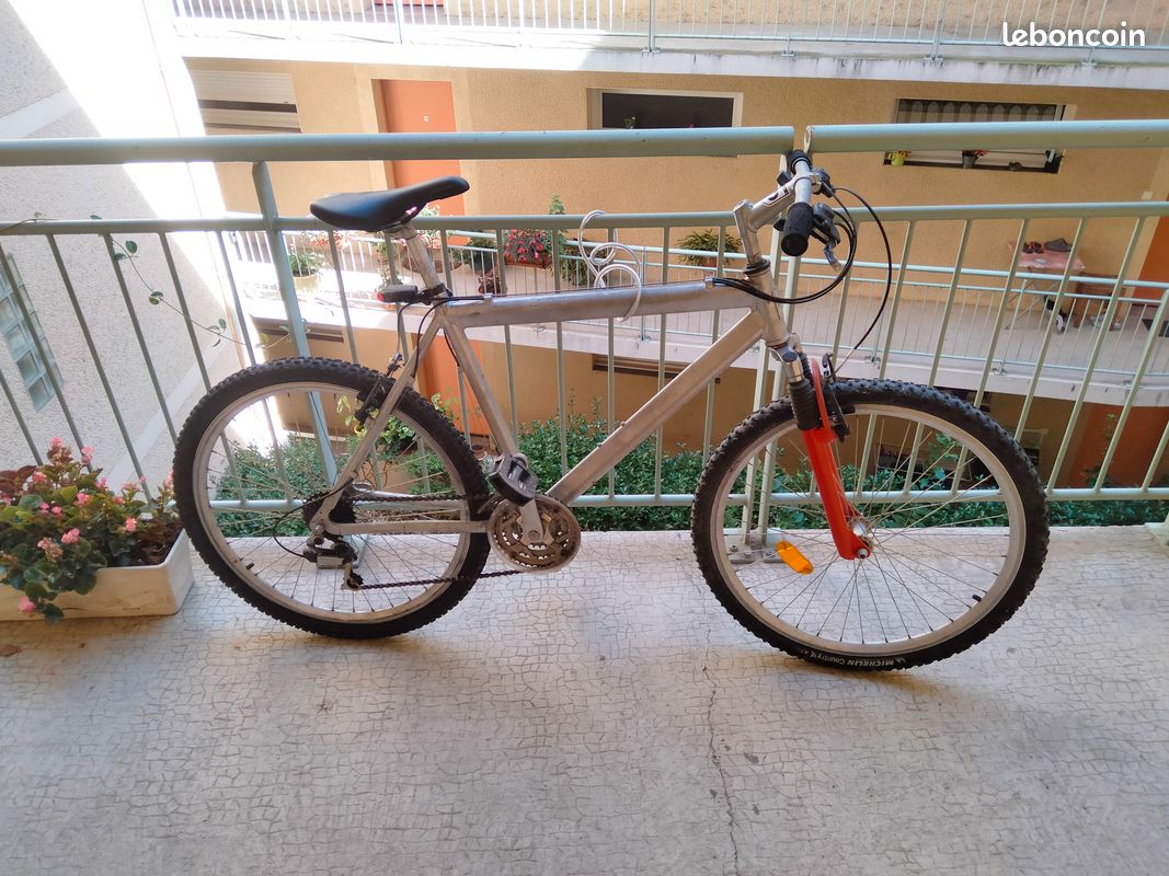 Vélo de loisirs (image 1)
