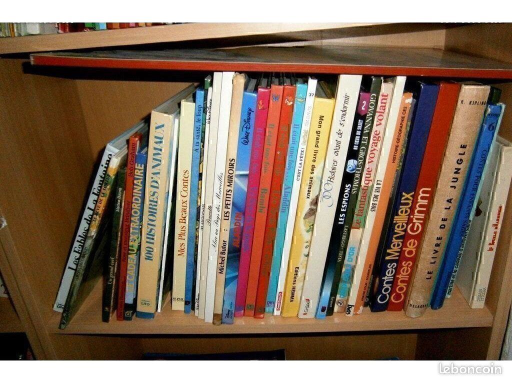 MESLIVRES - Livres - Dictionnaire/Anglais/Guide/Voyage/livres C_815 (image 7)
