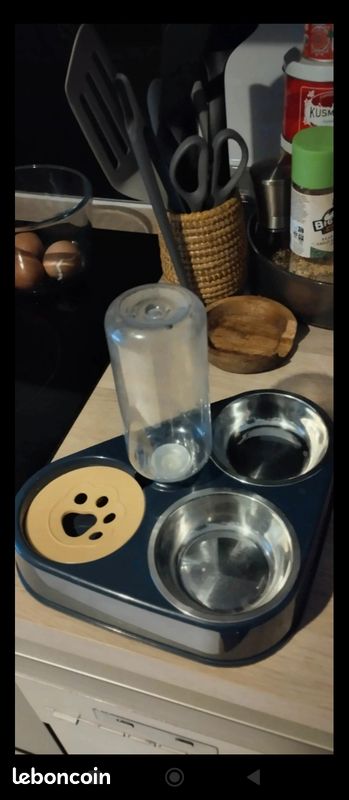 Gamelle 3 en 1 pour chat bleu canard (image 2)