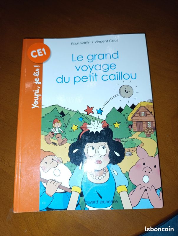 Livre "Le grand voyage du petit cailloux (image 2)