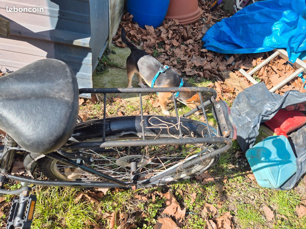 Vend vélo de femme (image 3)