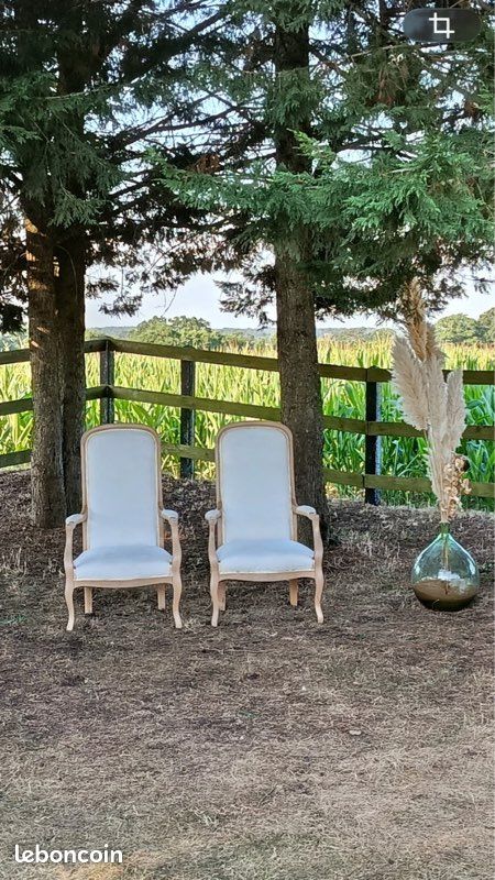 Magnifique fauteuils Voltaire (image 1)