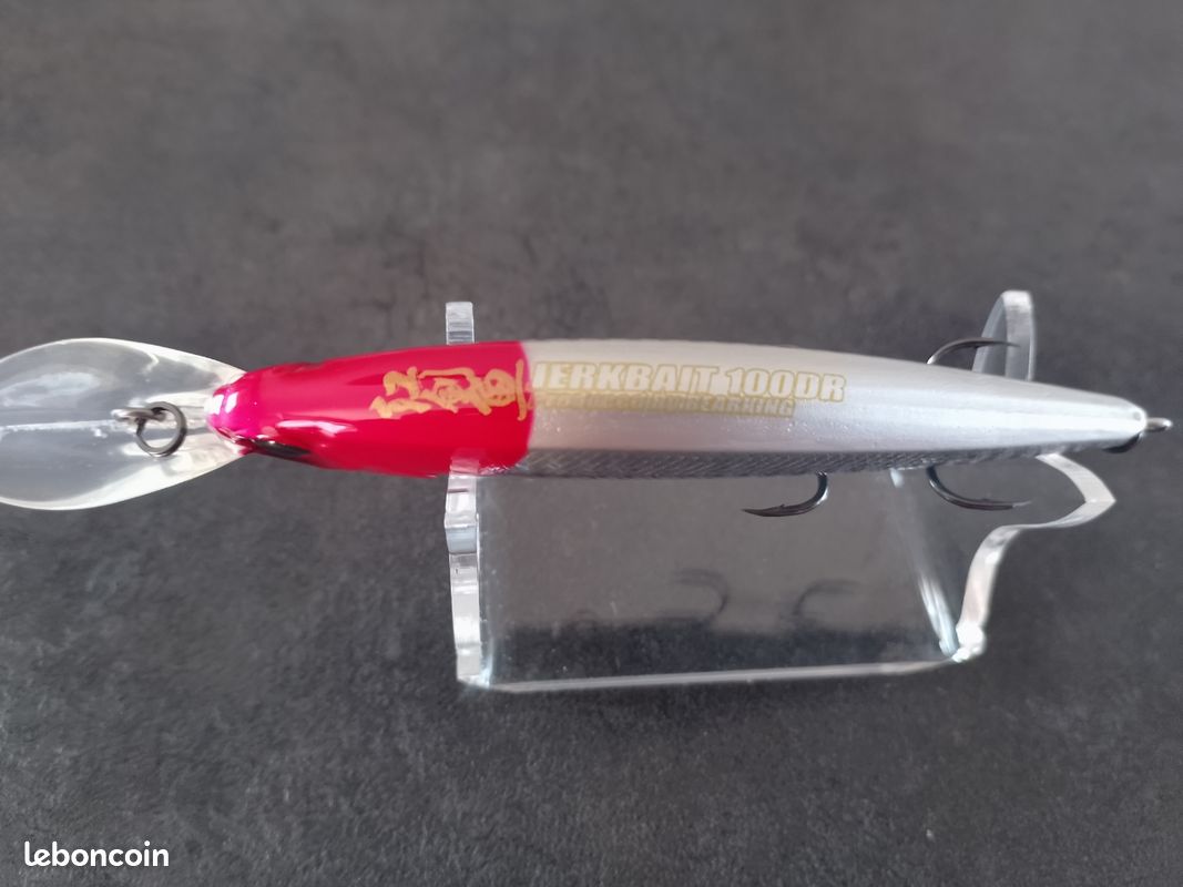 Pêche leurre Jerkbait 100DR Bearking (image 3)