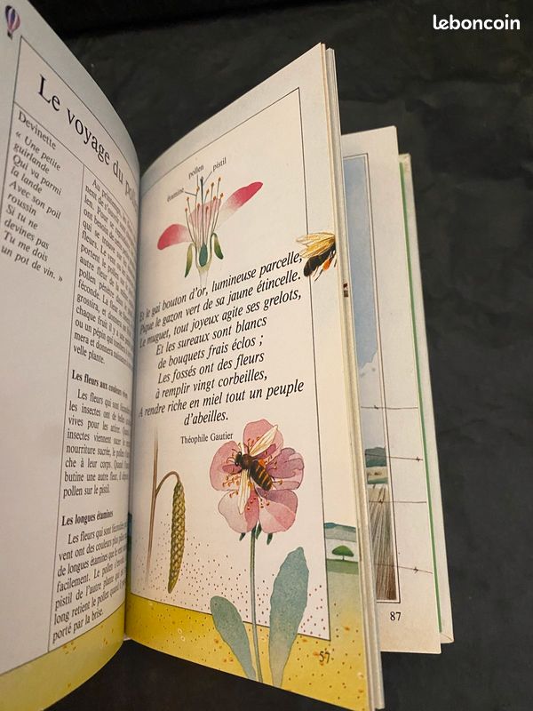 Livre du printemps (image 7)