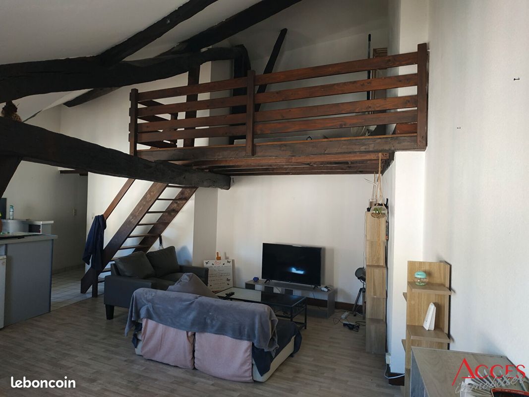 Appartement 1 pièce 42 m² - Limoges 87000 (image principale 2)