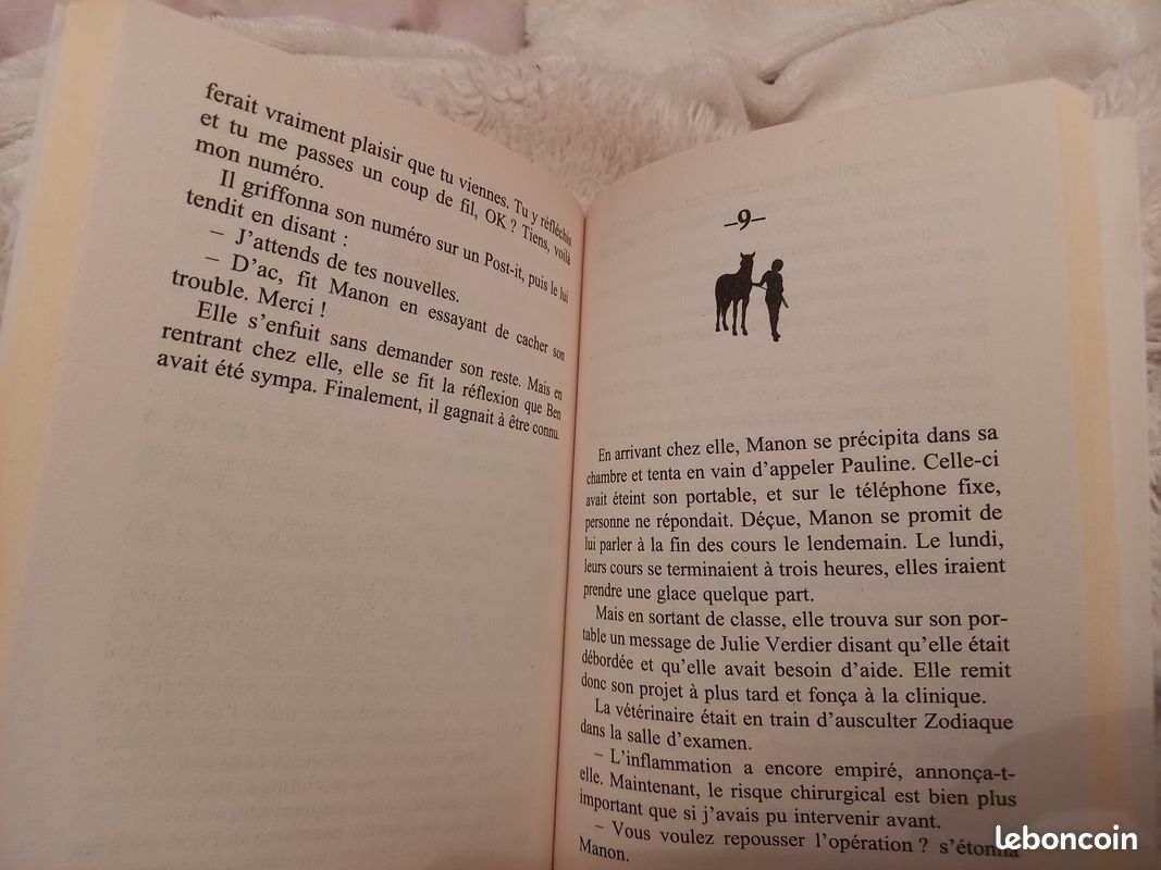 Livre sur les chevaux (image 3)