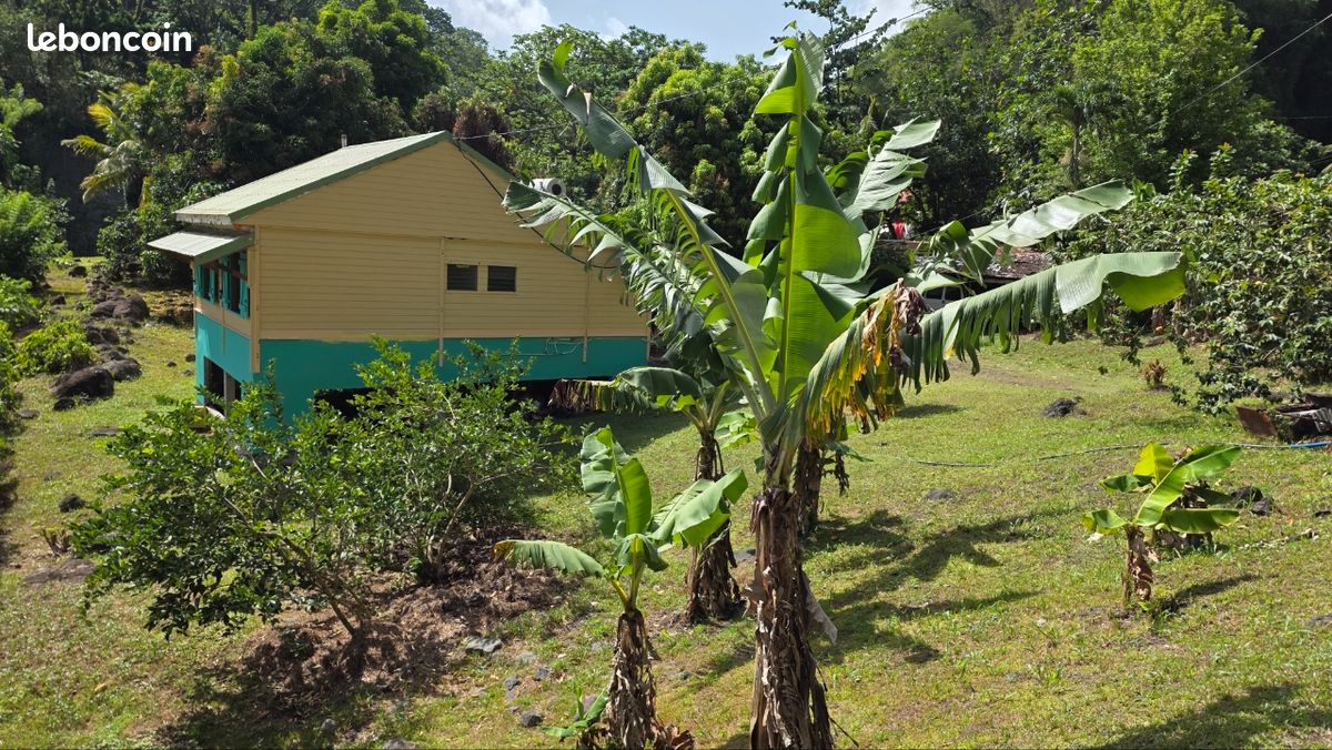 Ti VÕ - Maison privative avec jacuzzi - Jardin tropical (image 1)