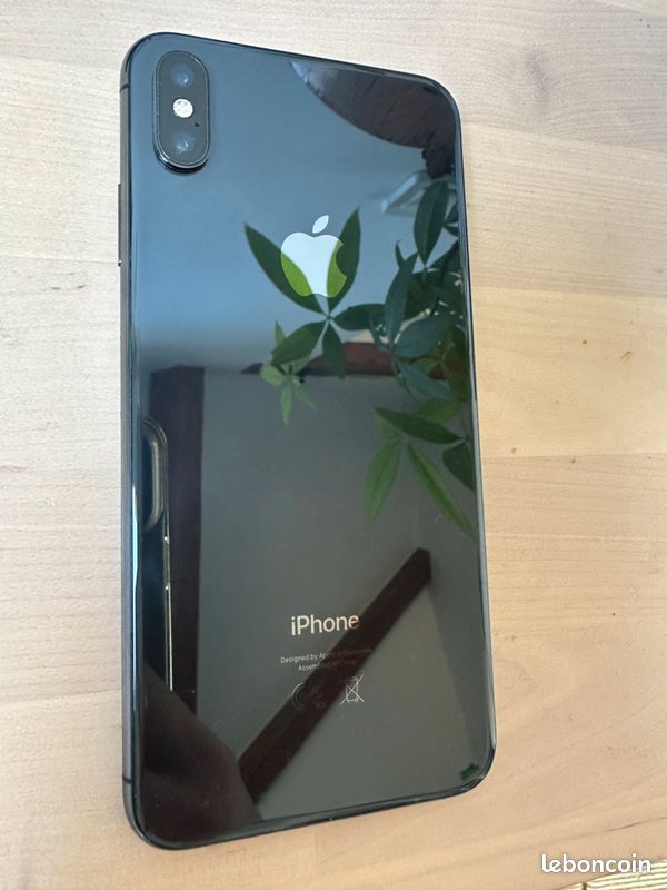IPhone XS Max 256Go Gris Sidéral (image 1)