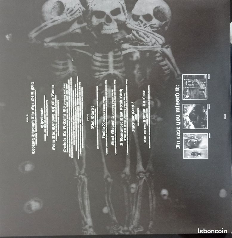 Album 2 vinyle vert Cypress Hill lV 2012 (image 6)