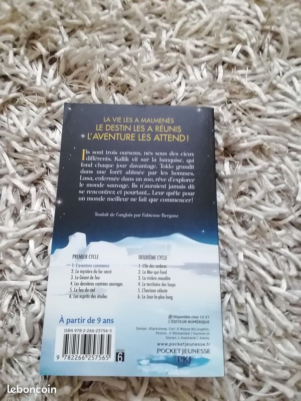 La quête des ours (image 2)
