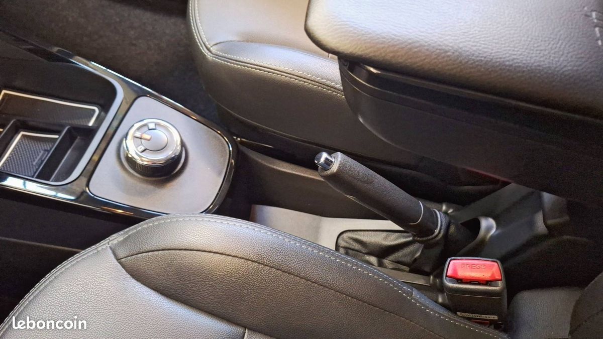 Dacia spring expression (image 27)
