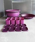 Tupperware Micro Vap Violet
