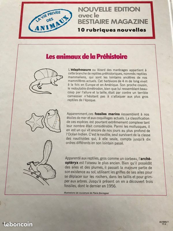 Les animaux de la préhistoire (image 2)