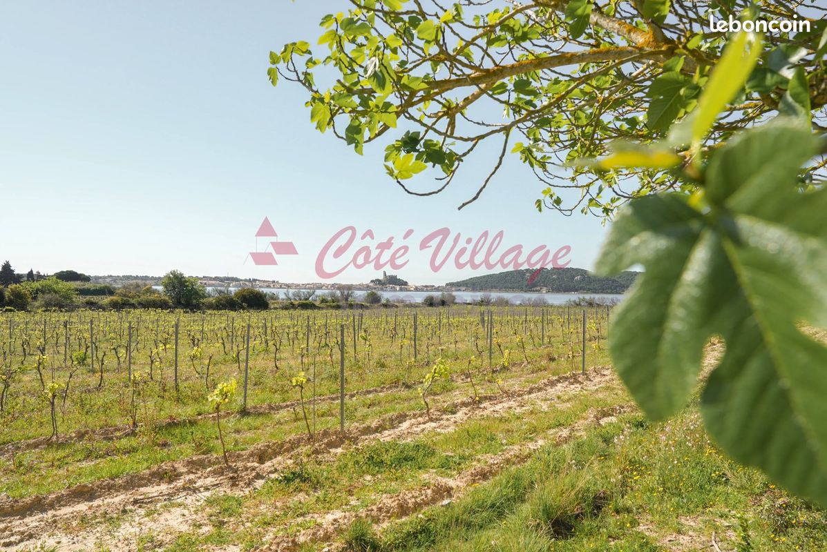 Appartement 100 m² · à Gruissan · 100 m² · 335 000 €
