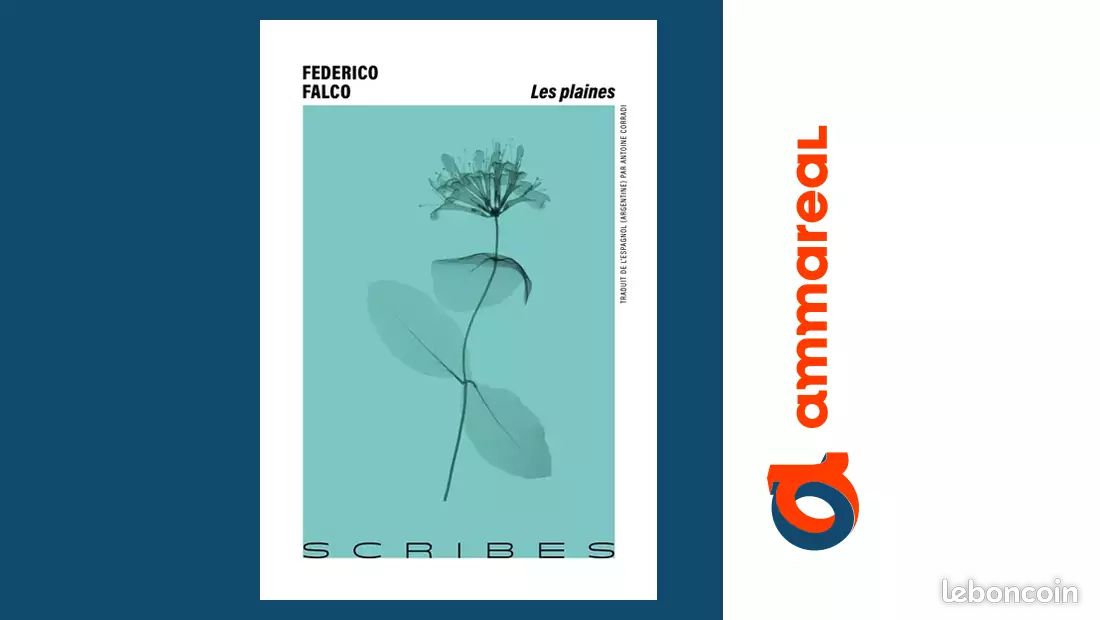 Les plaines - Federico Falco et Antoine Corradi (image 1)