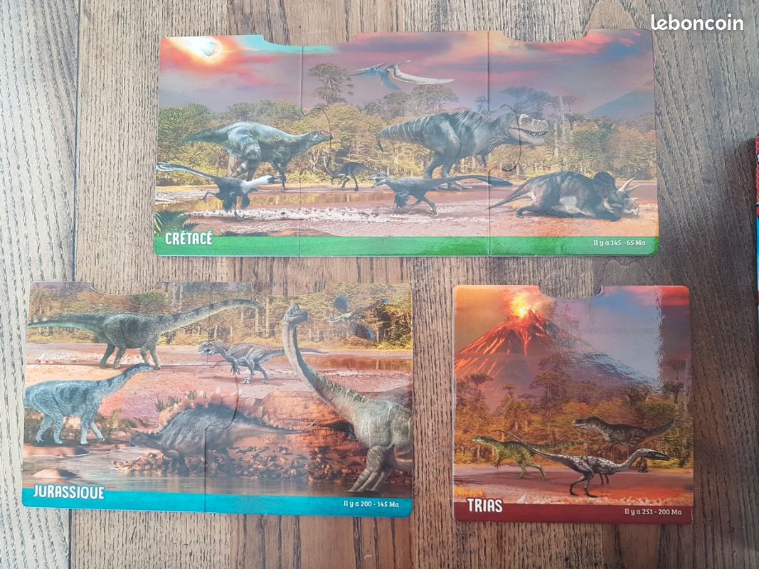 Jeu Dinosaures aux rayons X (image 5)