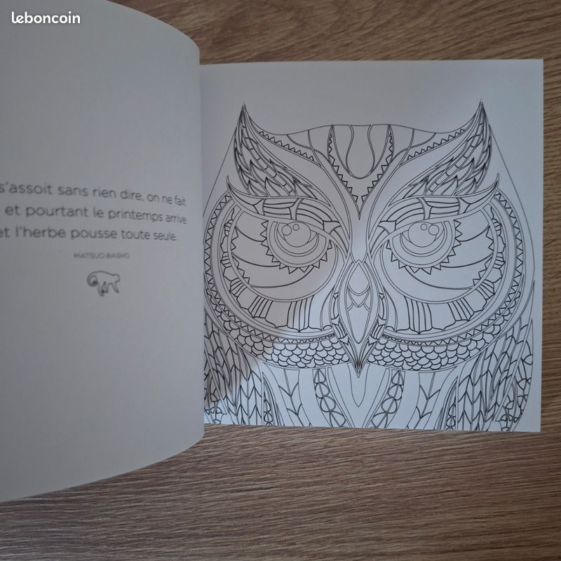 Livre de coloriage (image 4)