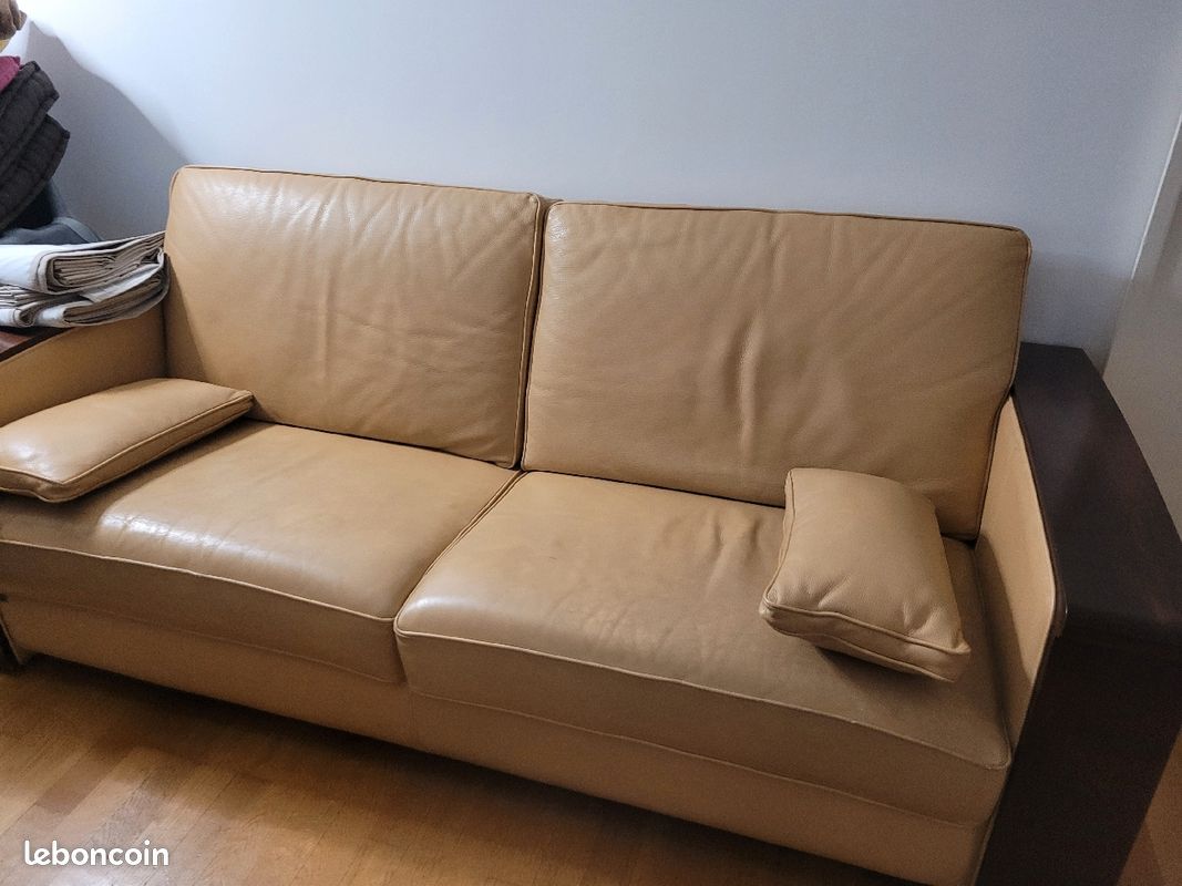 Vend 1 canapé en cuir (image 2)