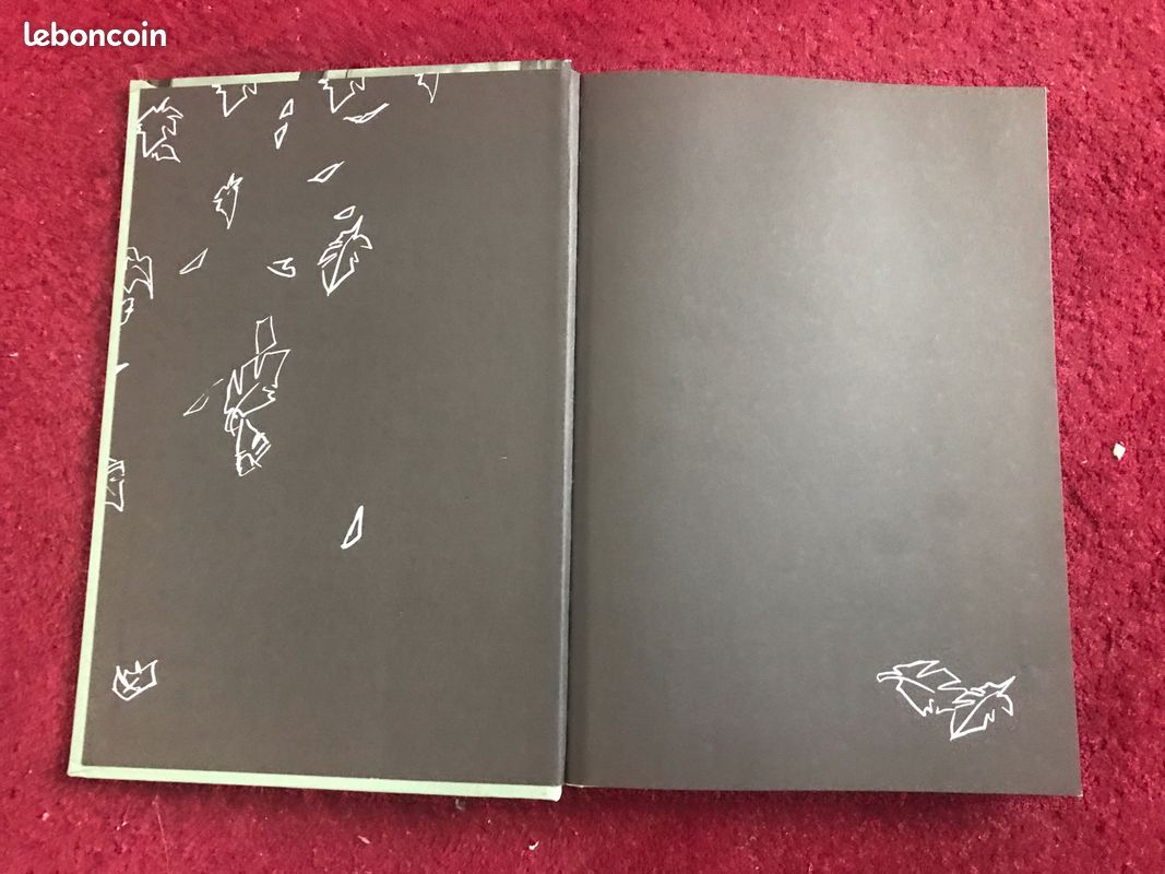 BD 12 raisons de l'aimer RICH-JONES (image 4)
