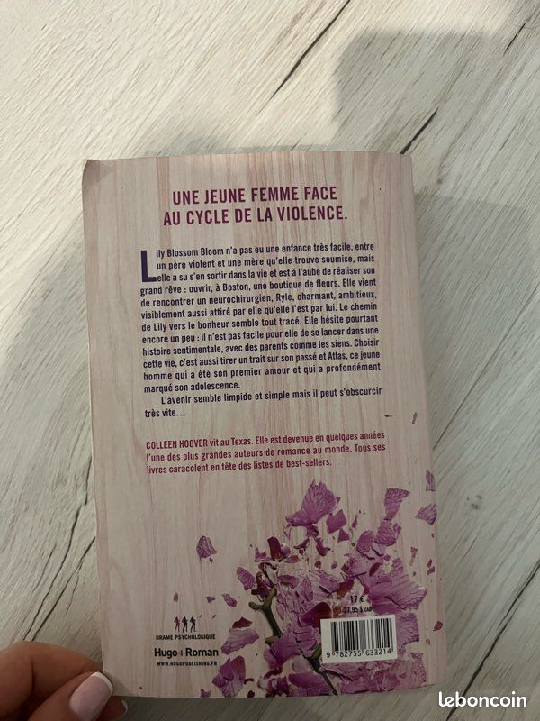 📚 Jamais Plus – Colleen Hoover (image 3)