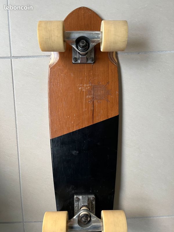 Skate globe (image 9)