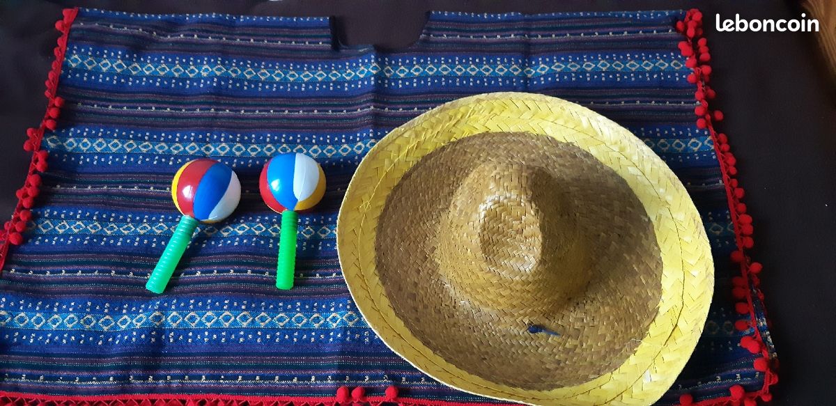 Costume carnaval (image 1)