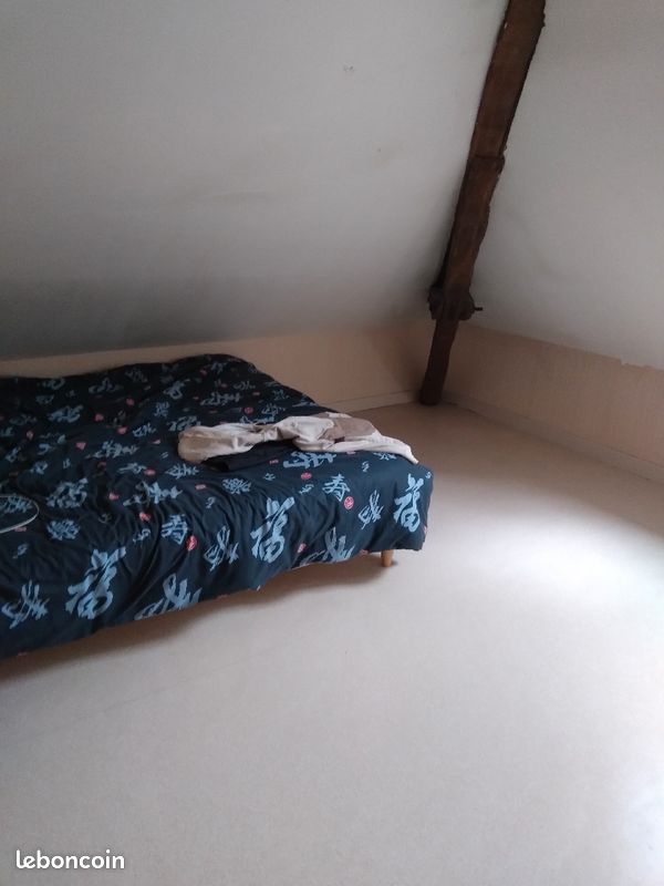 Location appartement T3 meublé à Tulle 19000 - Tulle 19000 (image 2)