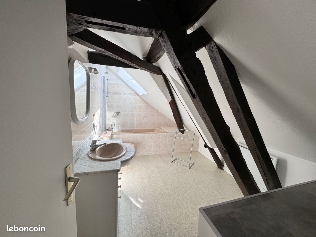 Duplex 3 pièces 53 m² - Brive-la-Gaillarde 19100 (image principale 6)