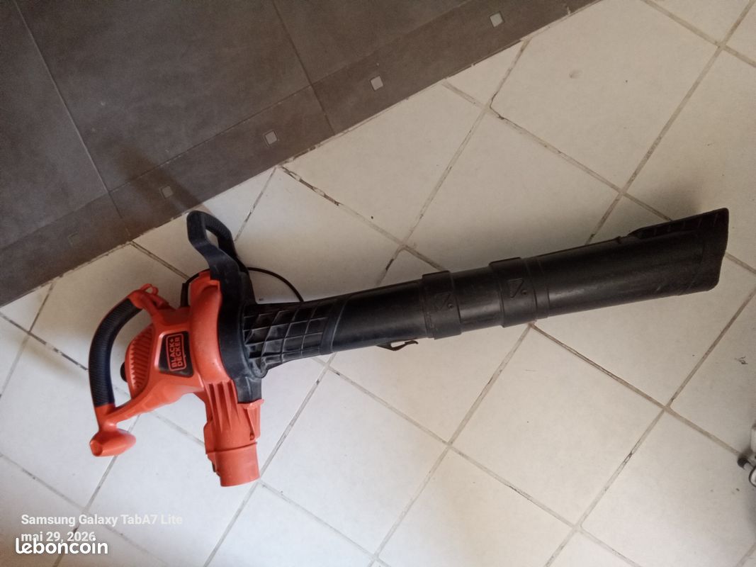 Souffleur aspirateur Black et decker (image 1)