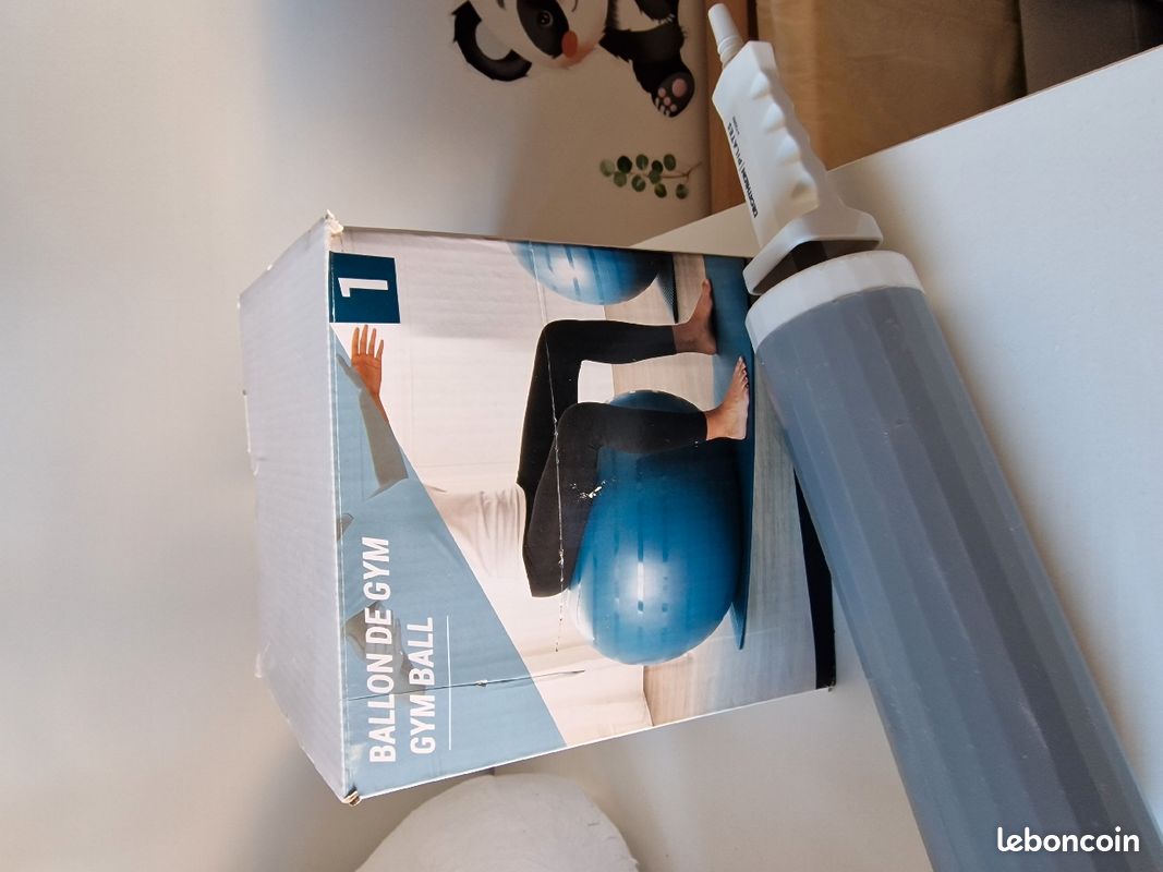 Ballon de Gym (image 1)