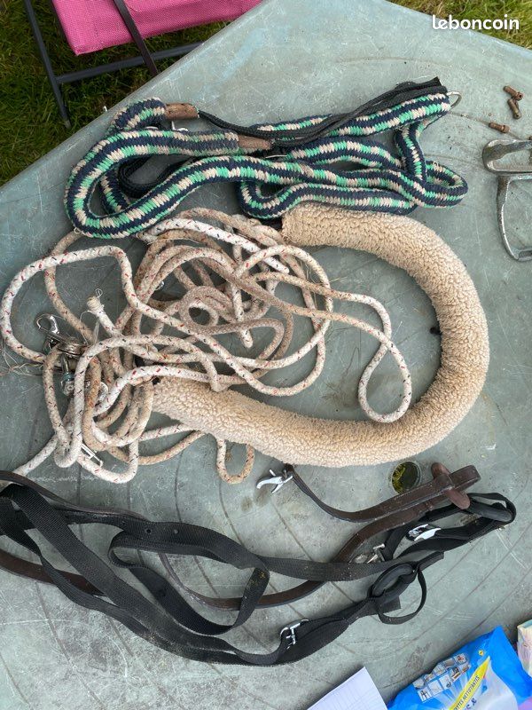 Affaires équitation (image 2)