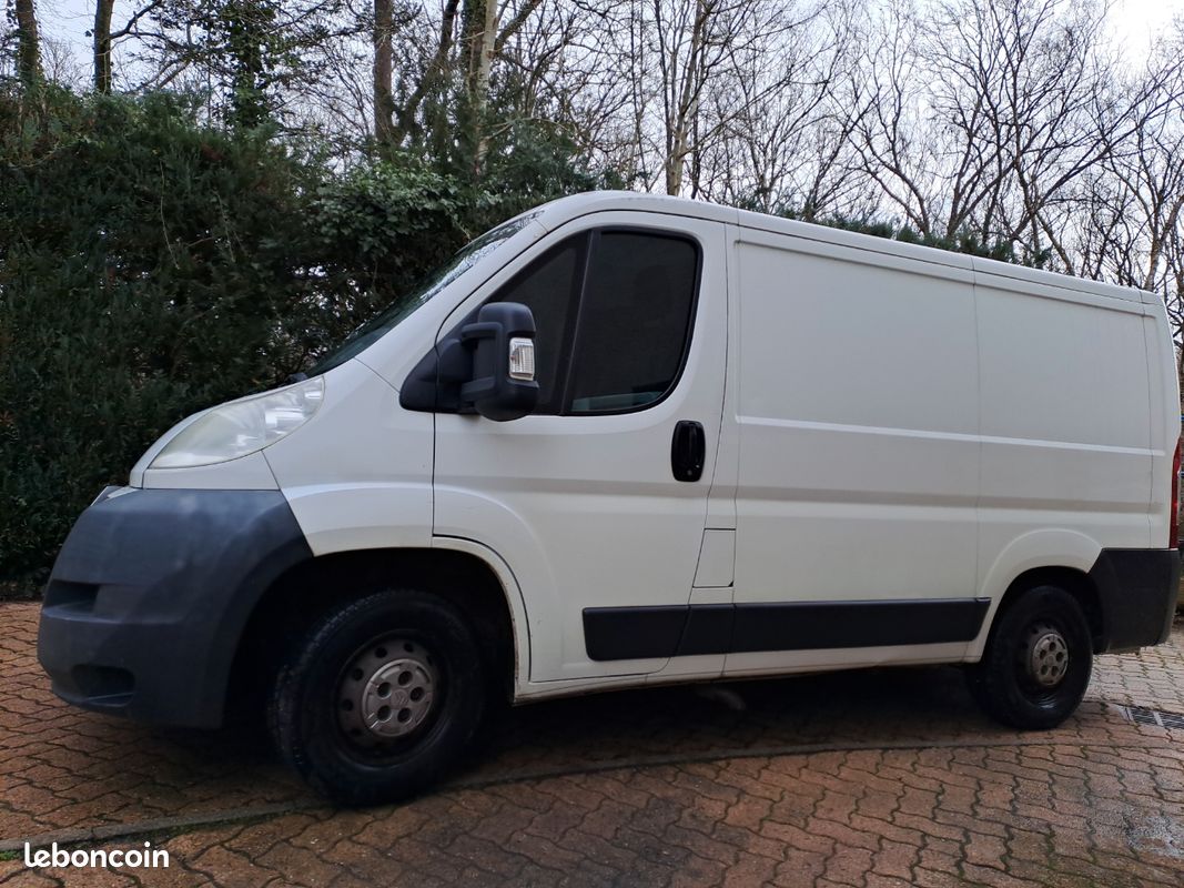 Citroen jumper (image 1)