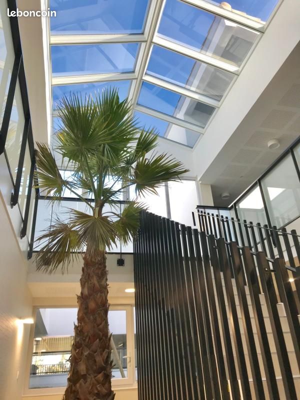 Appartement 3 pièces 60 m² · à Toulouse · 60 m² · 815 €