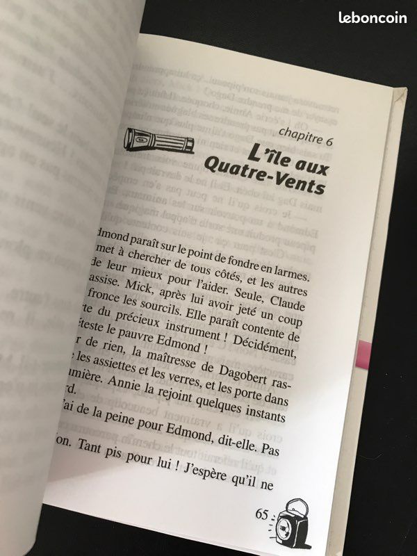 Le club des cinq - et le secret du vieux puits (image 3)