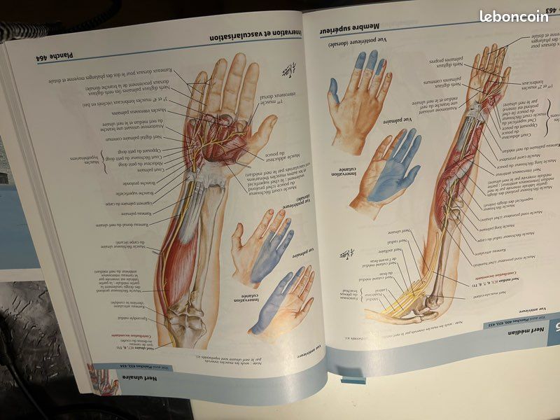 Atlas d’anatomie humaine 6 eme édition . Franck H. Netter MD (image 3)