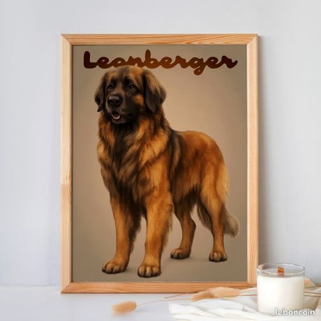 Rótulo Vial Residencial: Cuidado Con El Perro