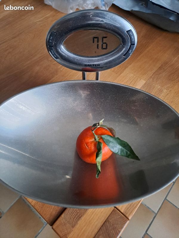 Balance (image 2)