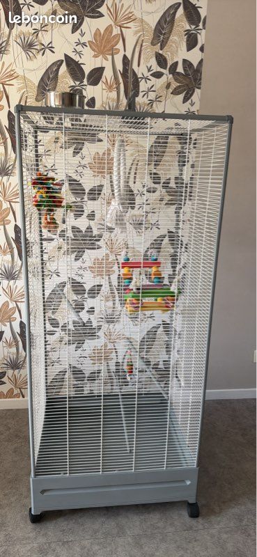 Cage à oiseaux (image 3)