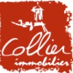 Logo du professionnel