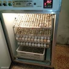 Recherche couveuse incubateur agricone (image 1)