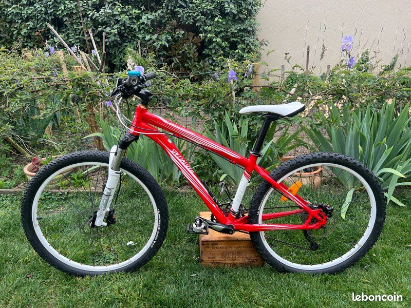 red specialised rockhopper sl