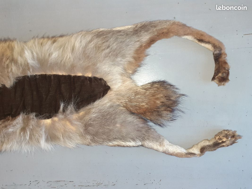Étole/Cape Vintage En Vraie Fourrure De Renard Argenté - Pièce Rare D'occasion